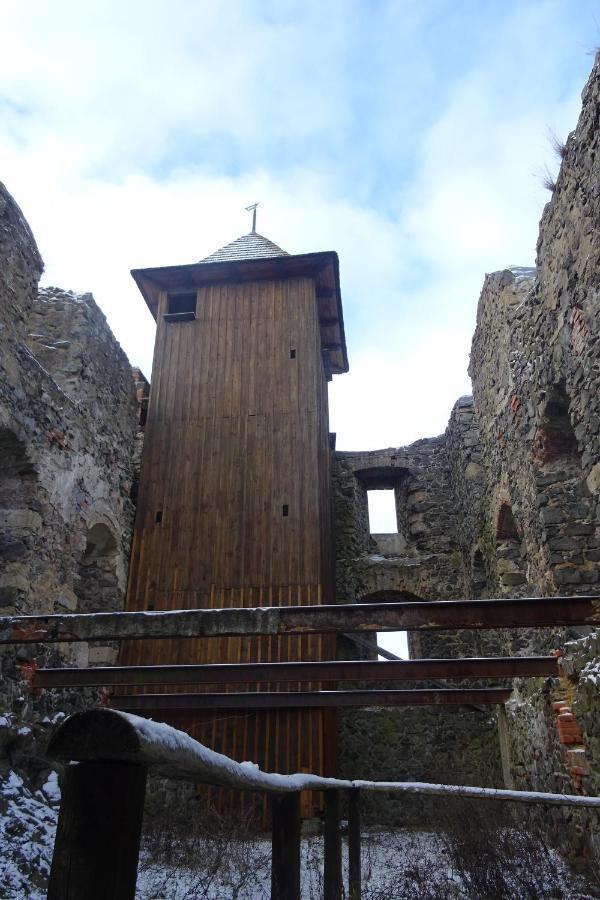 Boruvka * Česká Kamenice