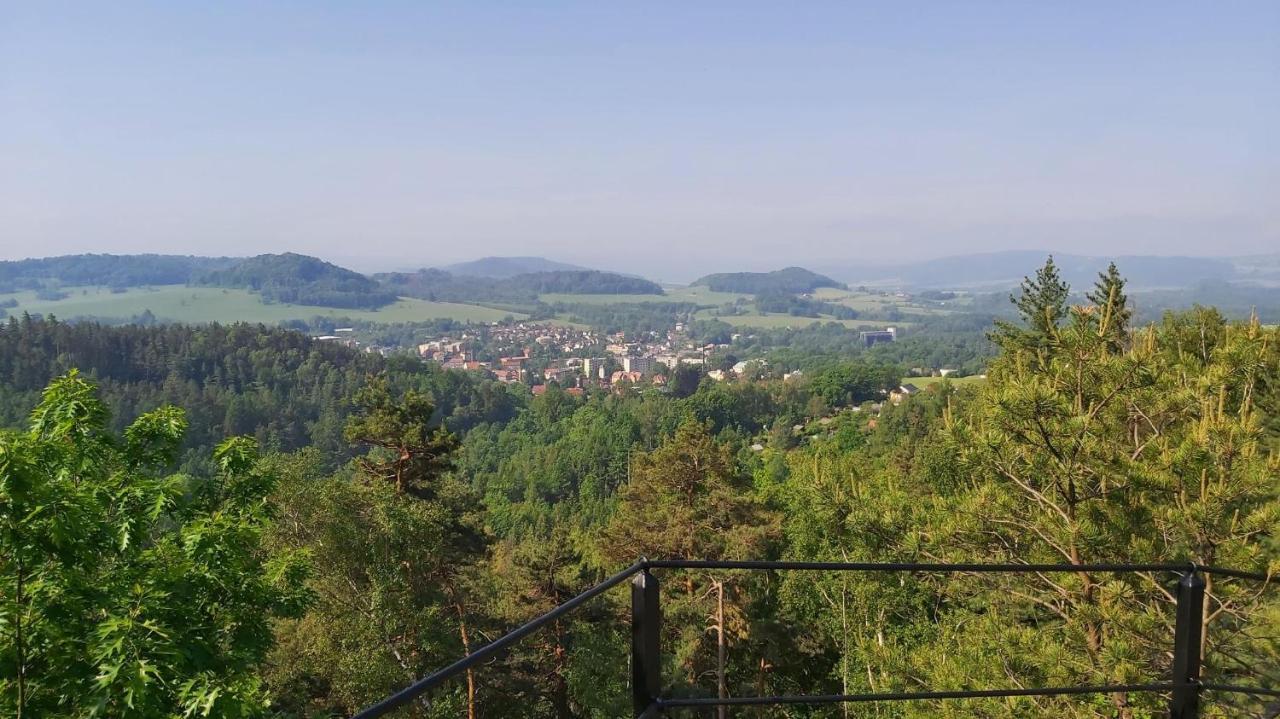 Boruvka * Česká Kamenice