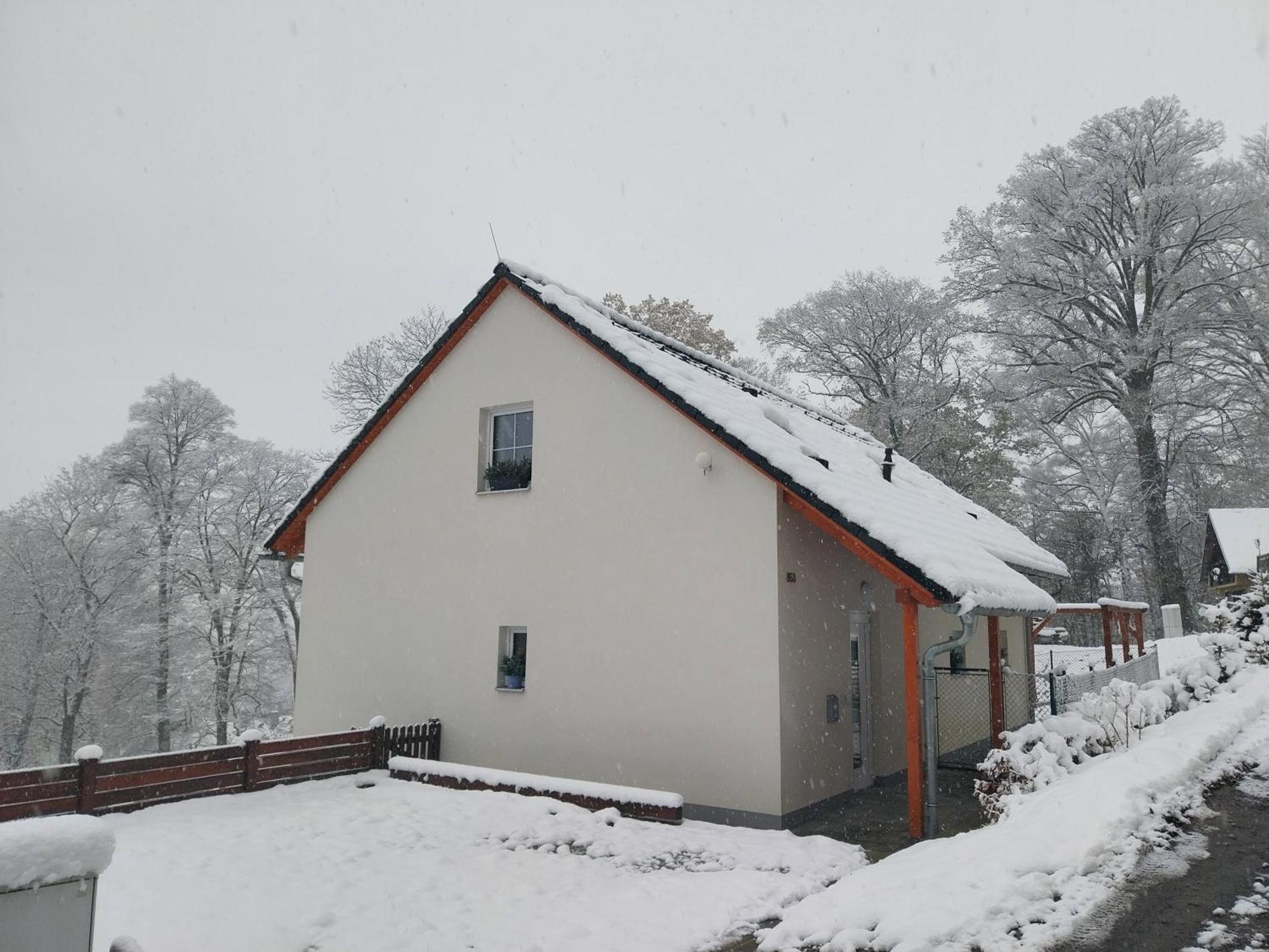 Boruvka Česká Kamenice
