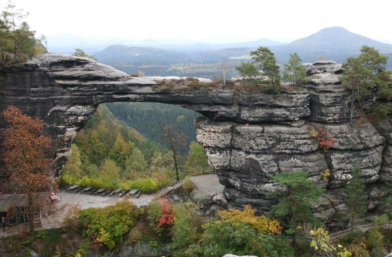 Boruvka * Česká Kamenice